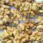 Chinese good quality walnut kernel