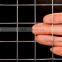 Low carbon steel 1x1 inch welded wire mesh ( SGS )