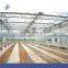Greenhouse circulation Fan for vegetable
