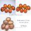 122.40 Ct Orange Star Sapphire 6 Rays Lab Created Stone