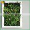 artificial green wall ecofriendly decorative green grass                        
                                                Quality Choice