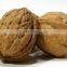 Natural Walnut Unshelled, Walnut In Shell Sale
