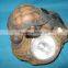 551833 CE ROHS Approval LED Solar Resin Light Garden Light