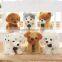 Plush Dog Toys,Plush Toy Dog,Big Head Dog Plush Stuffed Toys