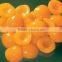 High quality healthy canned apricot halves for sale