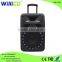 15 inch wireless mic speaker with light WP-3