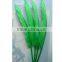 natural Humpback feathers 30-40cm 12-16inches