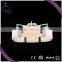 New Arrival Custom Design led commercial ceiling light from China manufacturer