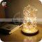 LED Rope String Lights 8 Modes Waterproof Battery Pack