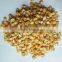Yellow Maize