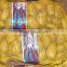 2015 holland potato farms from shandong province export to dubai