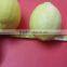 Dubai Market Fresh Lemon