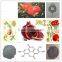 GMP Factory Supply High Quality Pomegranate Extract