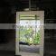 Elegant mirror frames with seashell inlaid 100% original price