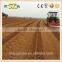 Shengxuan Machinery Co.,Ltd. produces bed former farm machine