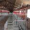 animal automatic feeding system for pig farm