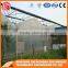 PE film tomato greenhouse roll up motor for ventilation steel frame