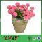 Factory direct wholesale selling pots