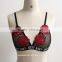 lace fashion hot sale sexy bra new design sexy girls preteen underwear Wholesale embroidery bralette bra