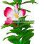 Hawaii Flower Necklaces Hula Lei Garland For Party Dance Plumeria Flower Lei Leaf Shape