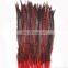 best quality 20-25cm pheasant feather