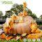 Fiberglass Halloween Pumpkin Sculpture for Amusement Park