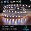 Colorful 5 colors rgbcct  72leds/m smd 5050 rgbww led strip light