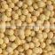 organic high quality soybeans