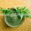 superior quality curry leaf powder sellers