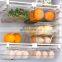 Hot Sale Kitchen Food PET Plastic Container Single Drawer Egg Storage Box Refrigerator
