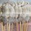 IQF frozen illex squid skewers good price for export