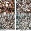 Nameko Shiitkake Oyster mushroom Cut Frozen Mixed Mushrooms high quality IQF