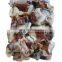 frozen squid neck giant indian squid neck indian ocean squid neck