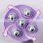 Multifunctional Five Dragon Ball Five Elements Meridian Brush Body Lymphatic Dredging Massager