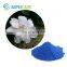 Natural Pigment Food Colorant 100% Gardenia Blue Powder