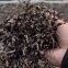 Fungus silk