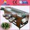 Orange sorter/grader of round orange/machine for sorting process orange