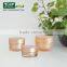 high-end upper grade acrylic cream jar purple , cosmetic jar , facial container 15g