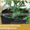 Cocopeat Grow Bag Factory Supply Garden Planting Friendly Felt