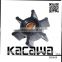 Impellers, Stainless Steel impellers, Castingimpellers, investment casting