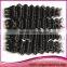 Wholesale Full Cuticle 6a Brazilian Human Hair Extension, 100Unprocessed Human Hair Deep Curly Hair Weaving Quality Choice