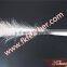 Wholesale Bleached White Peacock Feather For Bouquet DIY Decoration