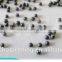 metal abrasive blasting shot S460(1.4)/550/660/780 for spray machine
