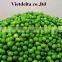 Fresh Green Lemon 2014 - Good price and high quality