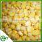 Sweet Corn Kernels
