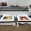 Industrial Polar-jet digital printing machine for tshirts                        
                                                Quality Choice