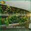 artificial green wall ecofriendly decorative green grass                        
                                                Quality Choice