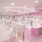 2016 High End Underwear Garment Small Retail Shop Design