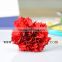 Best Quality Carnation Red Carnation Wholesale Flower