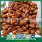 New Harvest Wild Harvest Particle Filled Open Pine Nuts in Shell